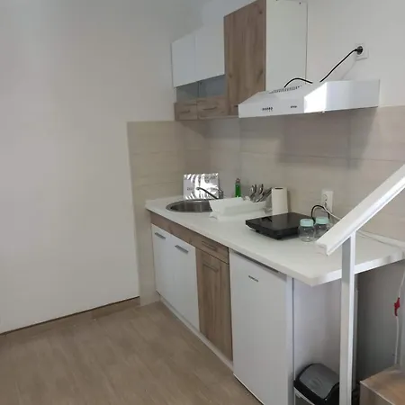 Lejlighed Anidu Banja Vrujci *